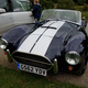 AC Cobra back at the source